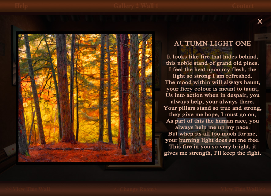 Autumn Light 1